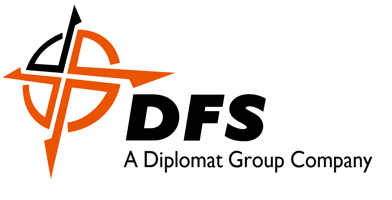 dfs group logo